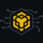 Chart showing BNB Chain memecoin traders profit surge