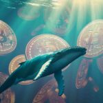 Chart illustrating Hyperliquid whale’s onchain wallet activity linked to BitForex CEO Garrett Jin