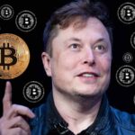 Elon Musk discusses Bitcoin’s protection against fiat currency printing